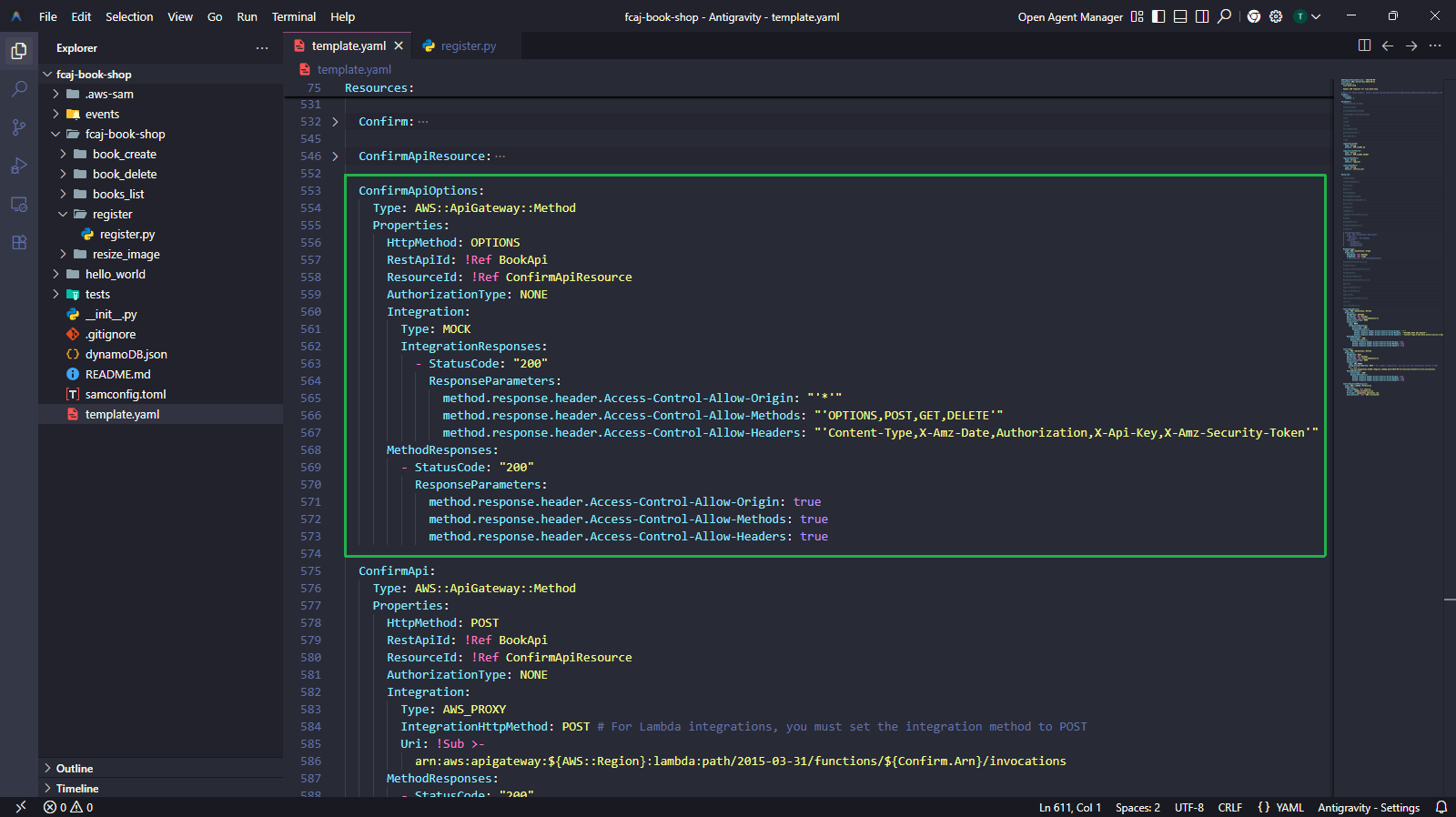 ConfirmApiOptions - CORS OPTIONS method
