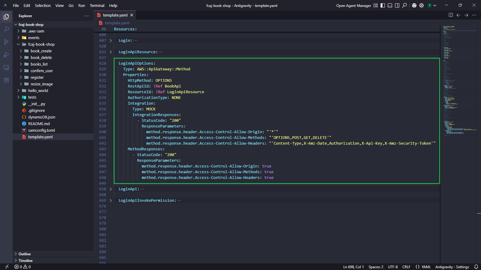 LoginApiOptions - CORS OPTIONS method