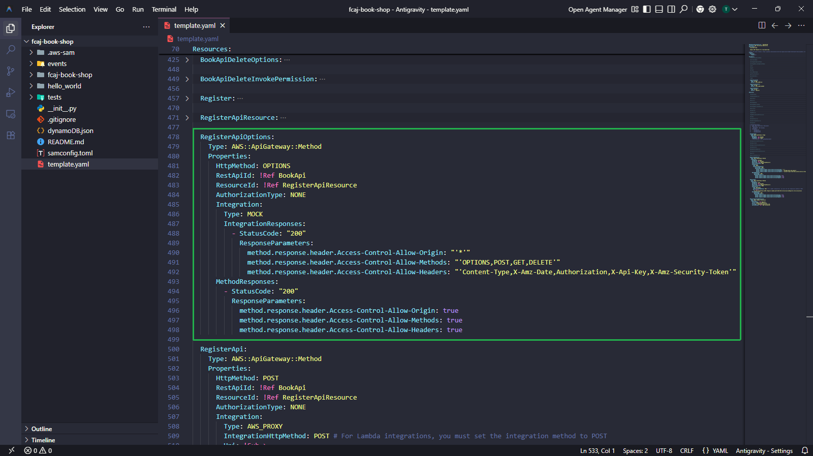 RegisterApiOptions - CORS OPTIONS method